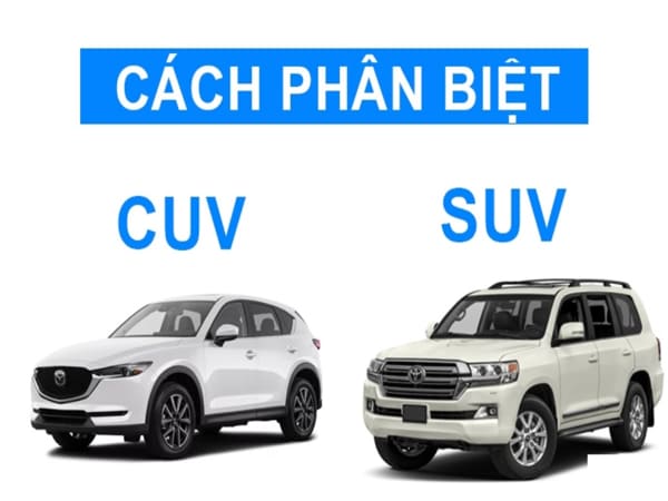 Cách phân biệt giữa CUV và SUB không phải ai cũng biết