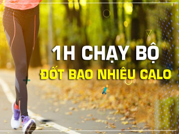 Chạy bộ 1 tiếng giảm bao nhiêu calo? Cách đốt cháy calo