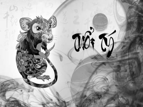 Liệu số phát tài tuổi Tý 14/12/2025 có đổi vận may không?